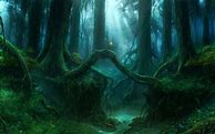 Image result for Forest Green iPhone Wallpaper