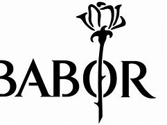 Image result for babor