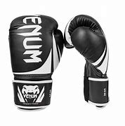 Image result for 20 Oz Boxing Gloves