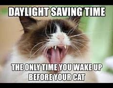 Image result for Daylight-Savings Cat Meme