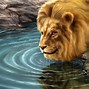 Image result for Drop Animals