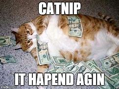 Image result for Money Fat Cat Meme