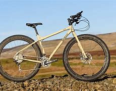 Image result for Surly Fat Tire Bike