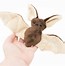Image result for Bat Stuffed Animal Patterns for Sewing