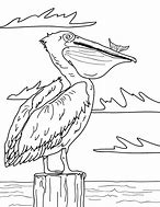 Image result for Pelican Outline