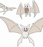 Image result for Bat Evolution Chart