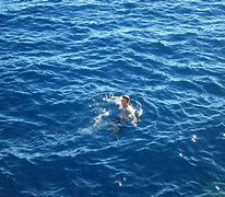 Image result for Swimming in Clear Ocean