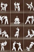 Image result for Hapkido Moves