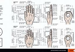 Image result for iPhone 5 Size Dimensions Hand