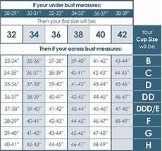Bra Size Chart Google Search Bra Size Charts Bra Size