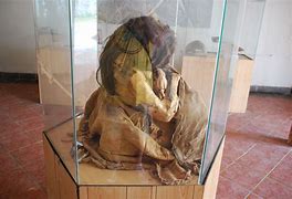 Image result for Peruvian Mummies On Display