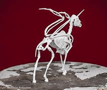 Image result for Unicorn Skeleton