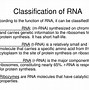 Image result for What Are Introns and Exons