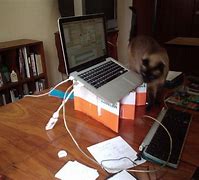 Image result for Cardboard Laptop Shipping Box