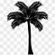 Image result for Palm Tree Silhouette Strip