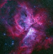 Image result for Privacy Nebula
