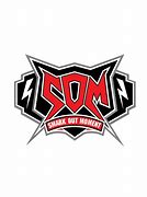 Image result for Pro Wrestling Logo