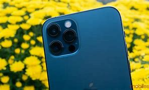 Image result for Lila iPhone 12