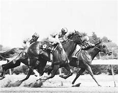 Image result for Vintage Horse Racing