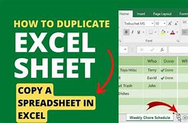 Image result for How to Duplicate a Spreadsheet in Excel