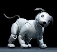 Image result for Robot Dogs with Fur