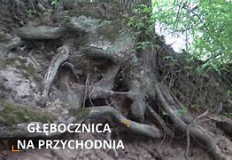 Image result for czarny_wąwóz