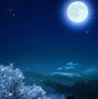 Image result for iPhone XR Wallpaper Nature Night