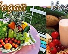 Image result for Vegetarian Vs. Vegan Difference