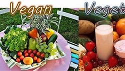Image result for Vegitariean Vs. Vegan