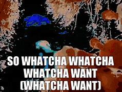 Image result for Whatcha Want Meme