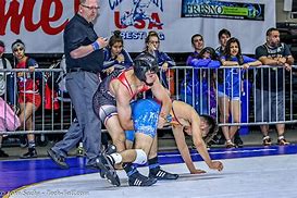 Image result for USA Wrestling Logo