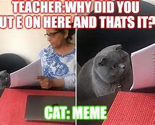 Image result for Woman vs Cat Teacher Meme