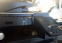 Image result for Copy Machine Disaster