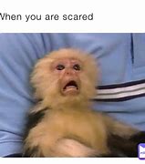 Image result for Waking Up Scared Meme