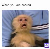 Image result for Scared Thumbnail Meme