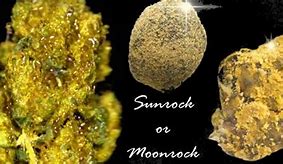 Image result for Where Is the Moss Rock in Sun and Moon