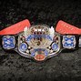 Image result for Custom Wrestling Belts