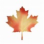 Image result for Maple Leaf Decal