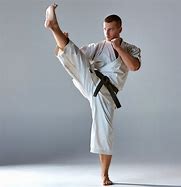 Image result for most dangerous karate out there