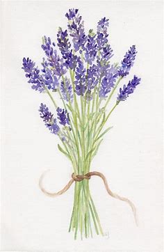 Lavender Watercolor Print, Lavender Bouquet, Lavender Cards | Watercolor flowers paintings, Watercolor flowers, Watercolor print