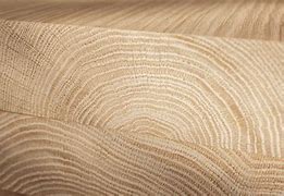Image result for Wood End Grain Texture