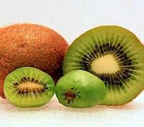 Image result for Kiwi Fruit or Animal