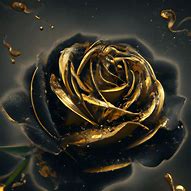 Image result for black and gold rose