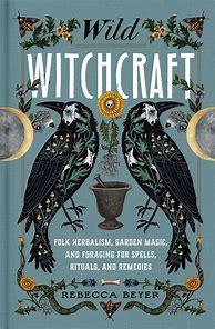 Image result for Witchcraft Book with Gold Cover Owl