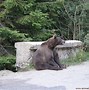 Image result for Nothing Just Chillin