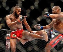 Image result for MMA Martial Arts