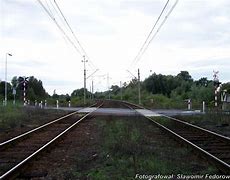Image result for chyrzyno
