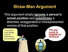 Image result for Metamor Straw Man Examples