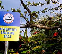 Image result for Outdoor Luch and Smoking Area Pictures