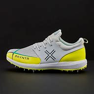 Image result for Payntr Cricket Shoes